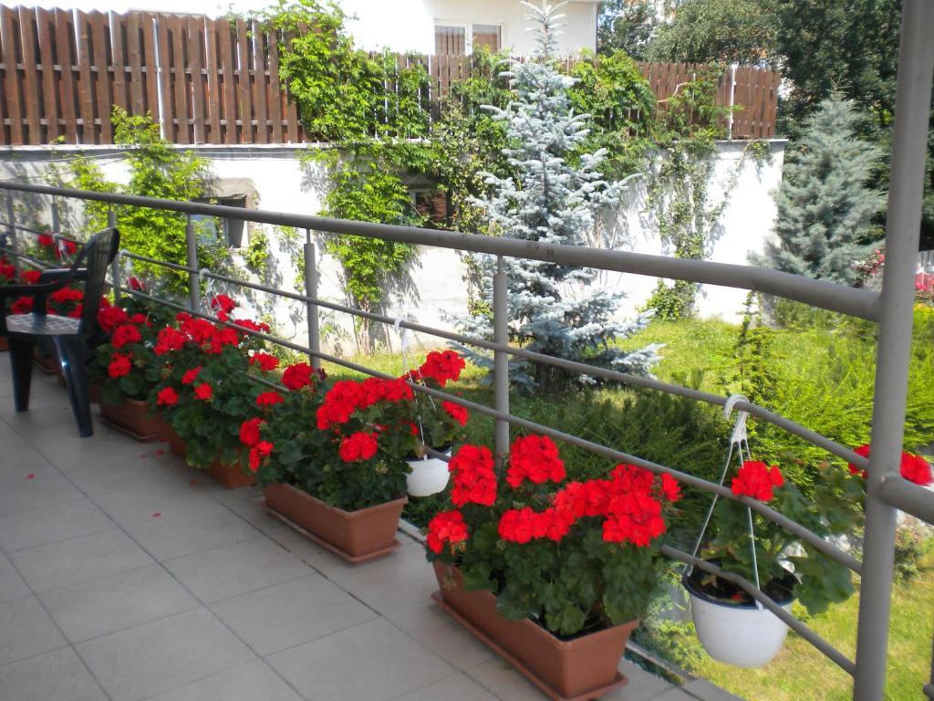 Pension Cluj Εξωτερικό φωτογραφία